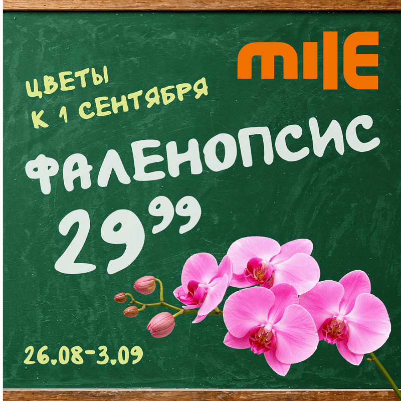 Подарок учителю, который будет радовать долго? Есть ответ!